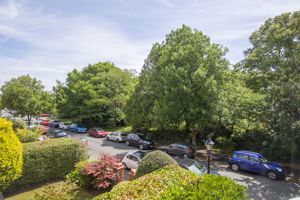 Photo 12- click for photo gallery